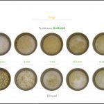 biomasses-test-sorgo-8 biomasses-test-sorgo-8