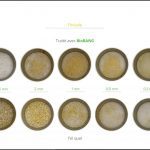 biomasses-test-triticale_08 biomasses-test-triticale_08