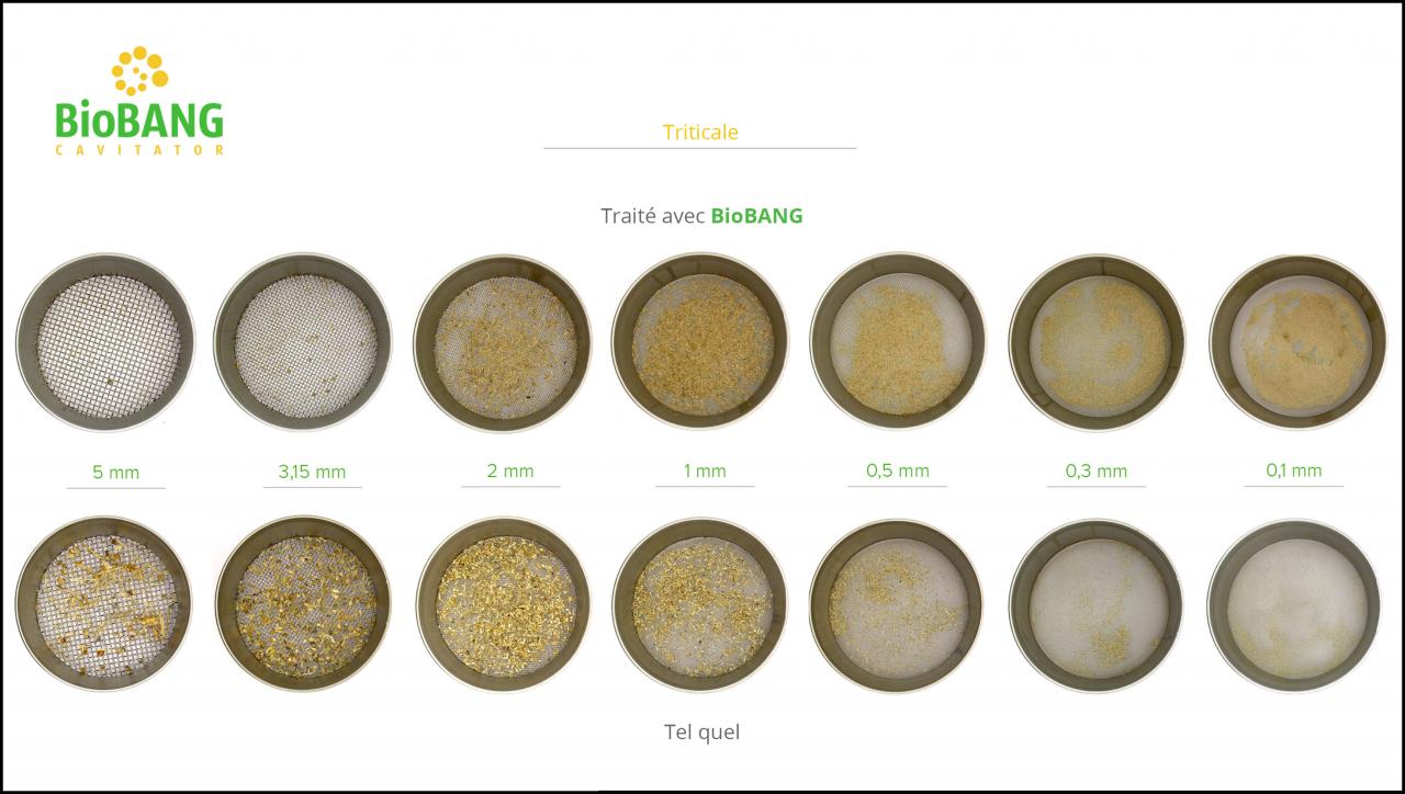 biomasses-test-triticale_08 biomasses-test-triticale_08