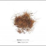 test-biomass-coconut-fiber-1