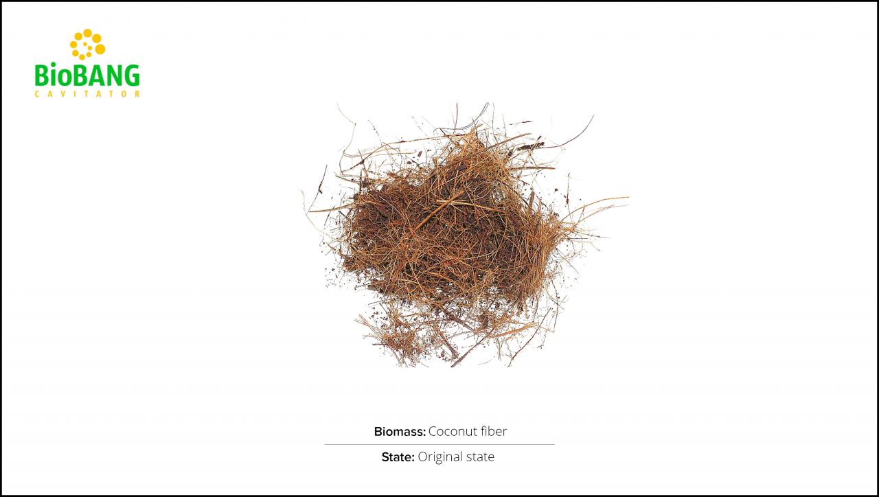 test-biomass-coconut-fiber-1
