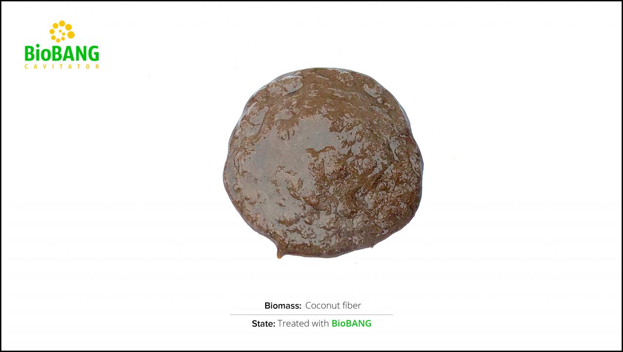 test-biomass-coconut-fiber-2