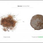 test-biomass-coconut-fiber-3