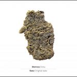 test-biomass-forsu-1 test-biomass-forsu-1
