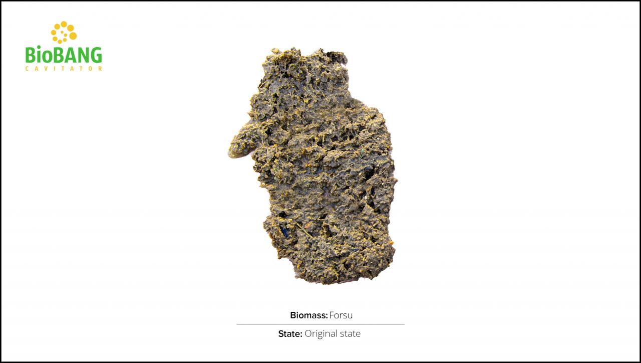 test-biomass-forsu-1 test-biomass-forsu-1