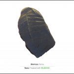 test-biomass-forsu-2 test-biomass-forsu-2