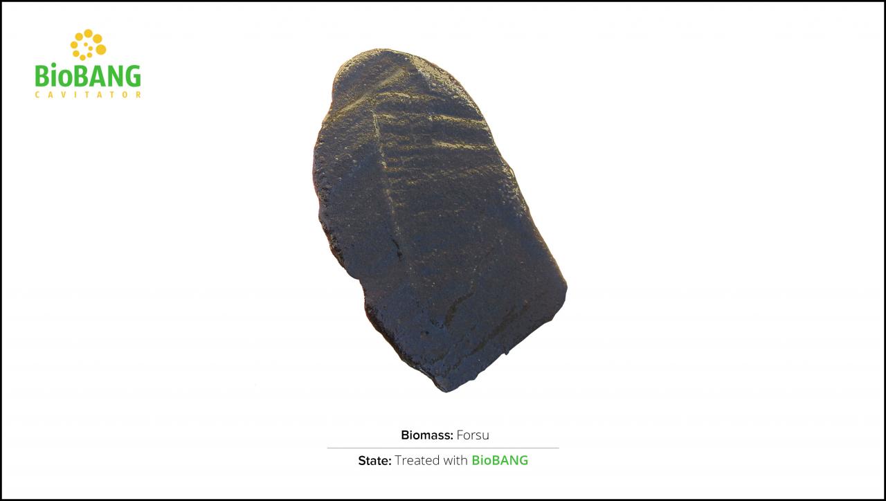 test-biomass-forsu-2 test-biomass-forsu-2