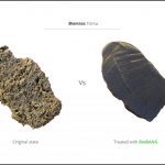test-biomass-forsu-3 test-biomass-forsu-3