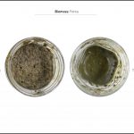 test-biomass-forsu-4 test-biomass-forsu-4