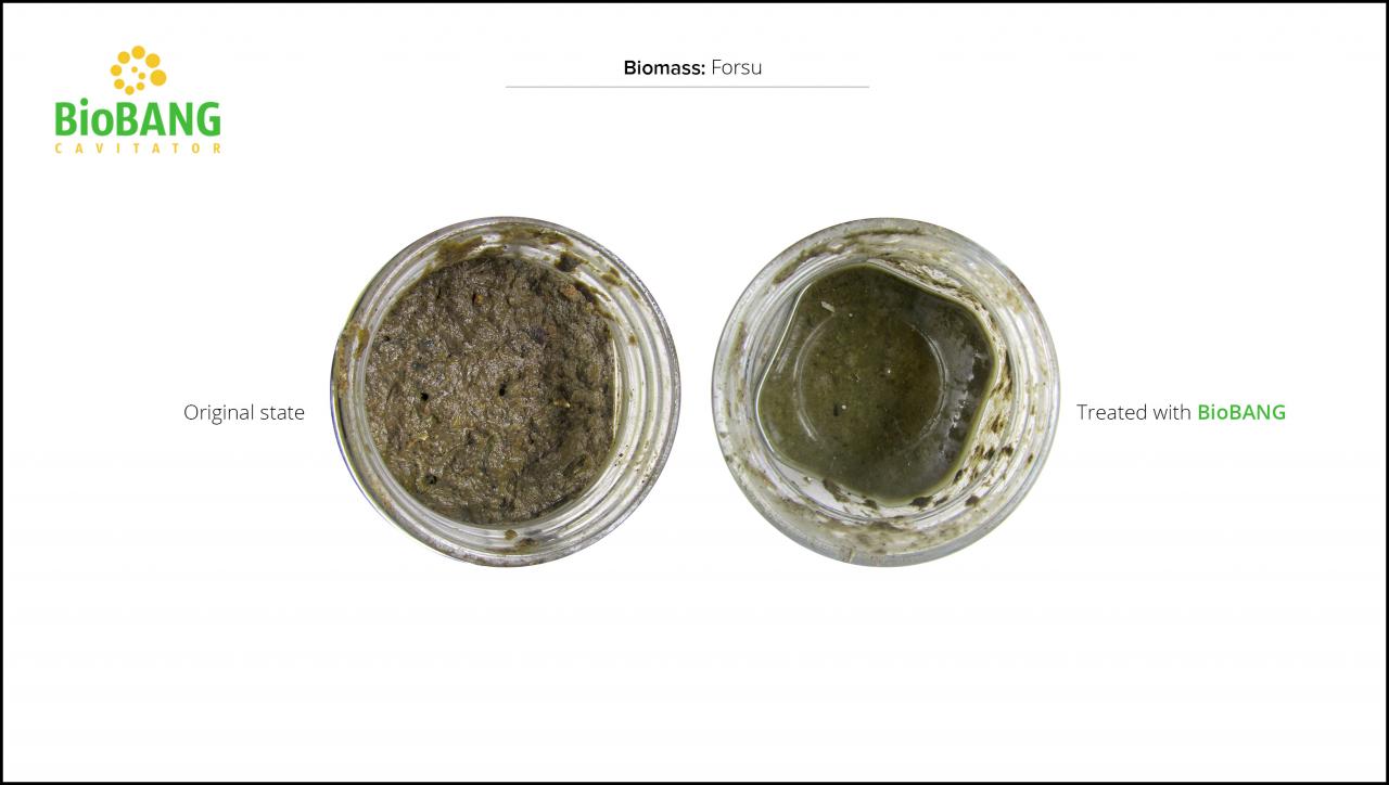 test-biomass-forsu-4 test-biomass-forsu-4