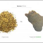 test-biomass-horticultural-seeds-3