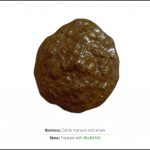 test-biomass_cattle-manure-and-straw_2