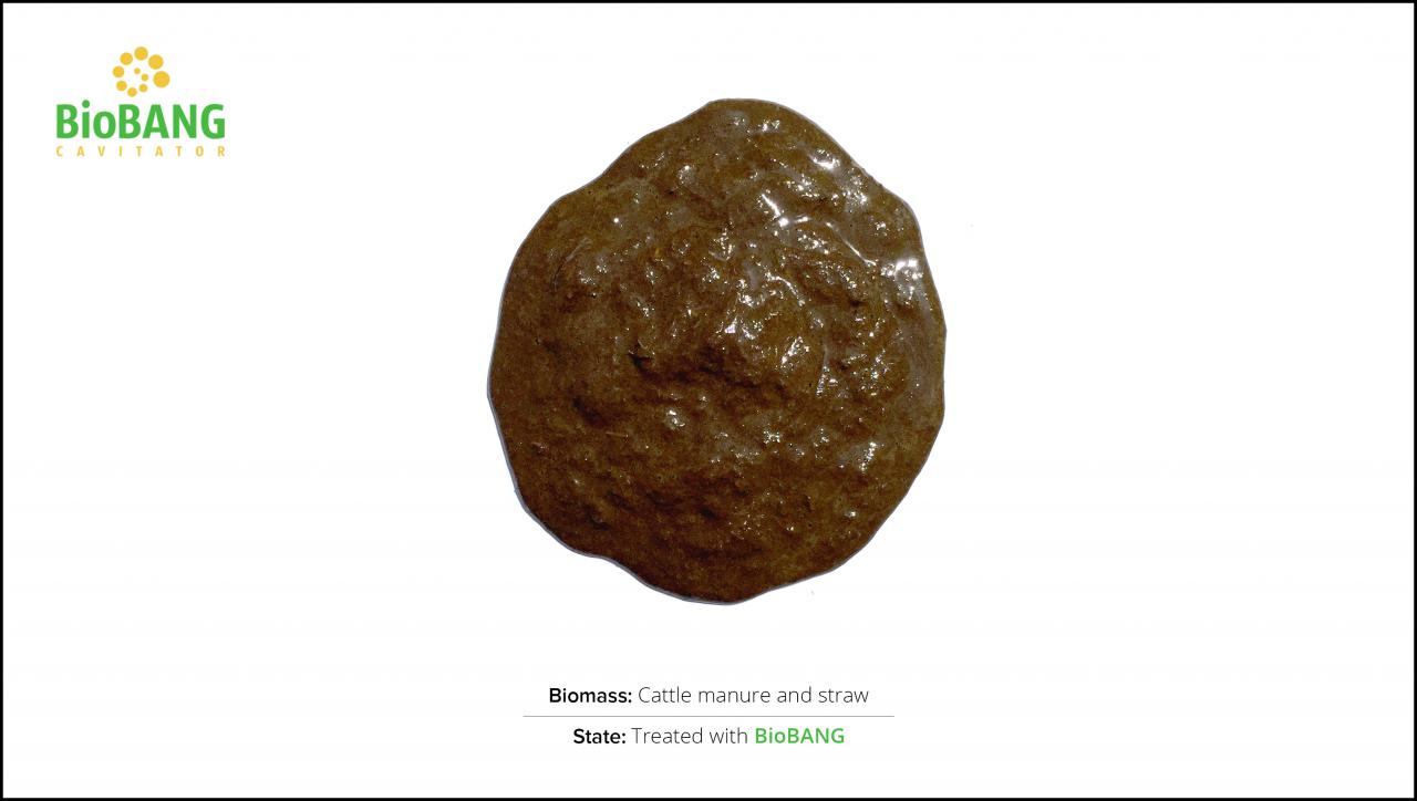 test-biomass_cattle-manure-and-straw_2