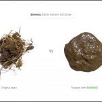 test-biomass_cattle-manure-and-straw_3