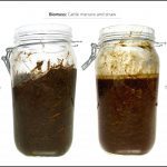 test-biomass_cattle-manure-and-straw_4
