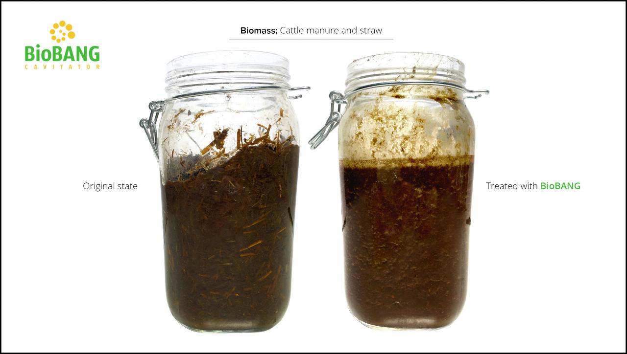 test-biomass_cattle-manure-and-straw_4