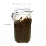 test-biomass_cattle-manure-and-straw_5