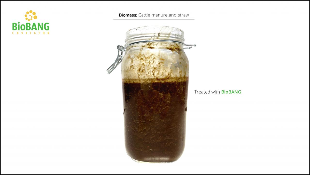 test-biomass_cattle-manure-and-straw_6