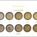 test-biomass_cattle-manure-and-straw_8