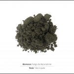 test-biomassa-fanghi-depurazione-1