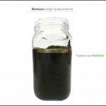 test-biomassa-fanghi-depurazione-6