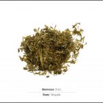 test-biomassa-orzo-1 test-biomassa-orzo-1