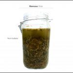 test-biomassa-orzo-5 test-biomassa-orzo-5