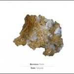 test-biomassa-pasta-1