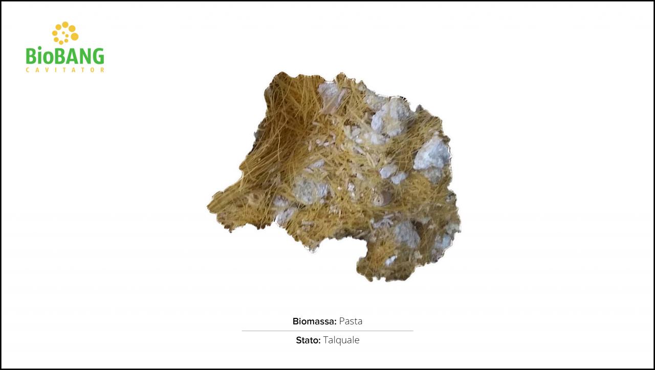 test-biomassa-pasta-1