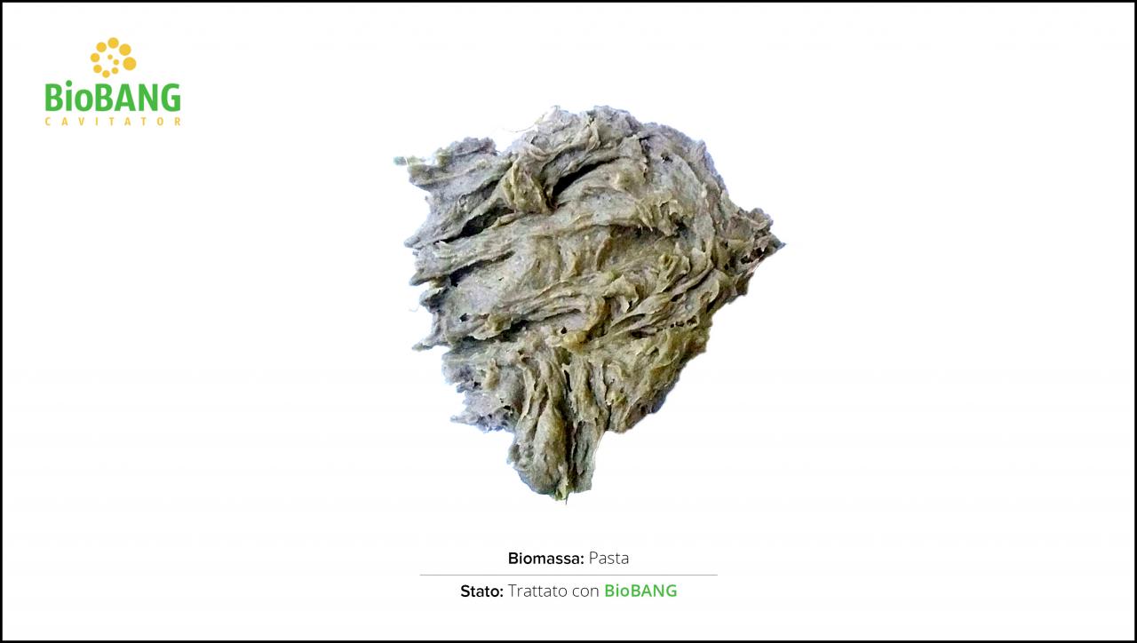 test-biomassa-pasta-2