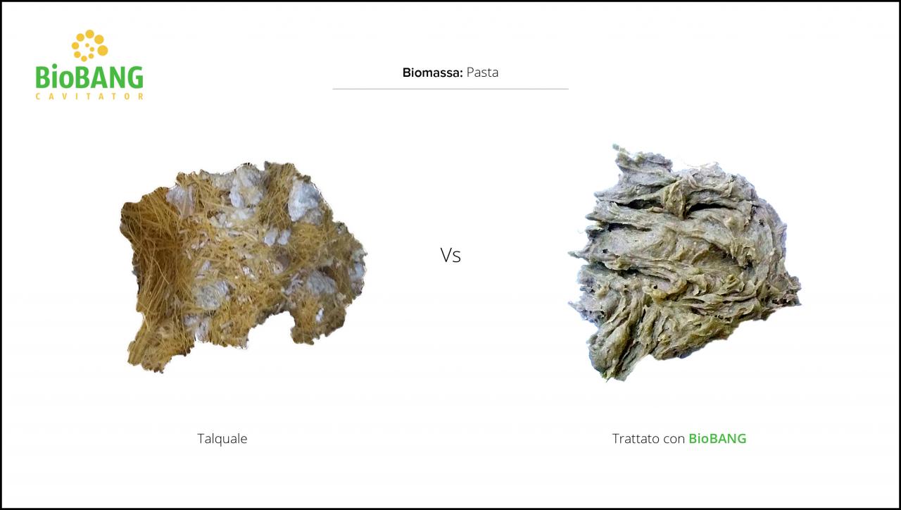 test-biomassa-pasta-3