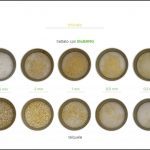 test-biomassa-triticale_8 test-biomassa-triticale_8