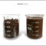 test-biomassa-vinaccia-4