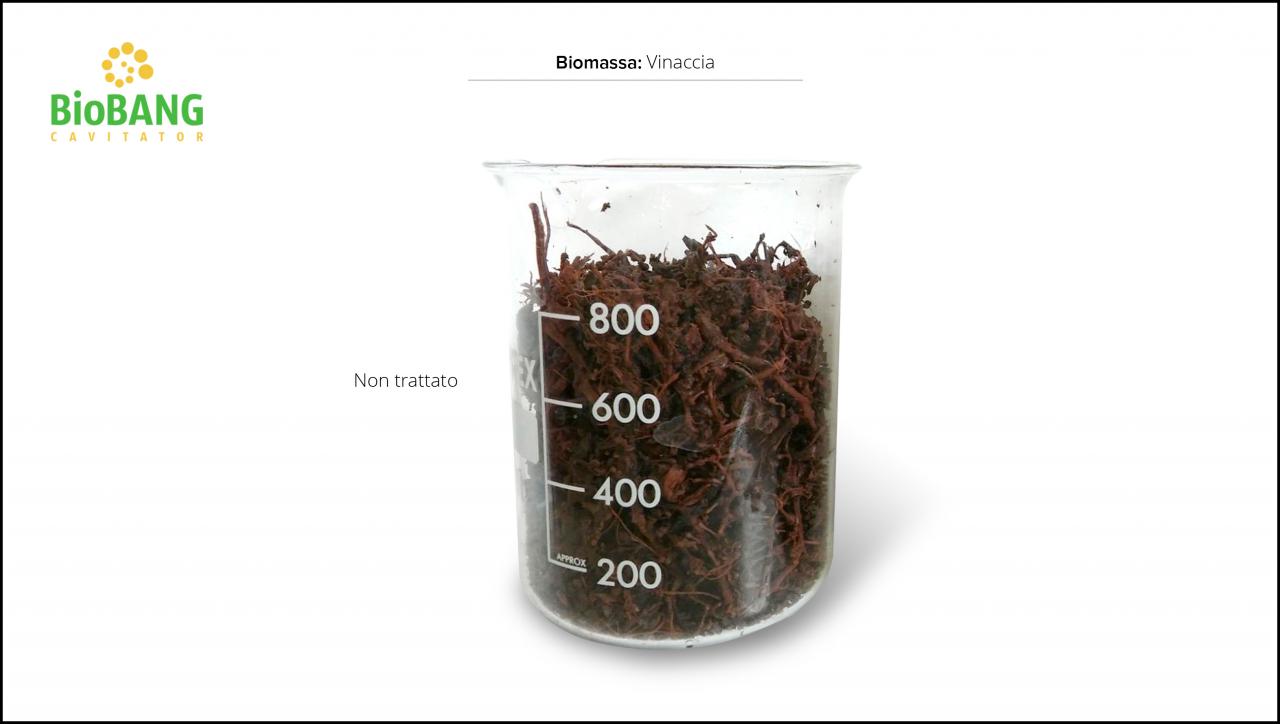 test-biomassa-vinaccia-5