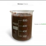 test-biomassa-vinaccia-6