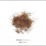 test-biomasse-cocco-1 test-biomasse-cocco-1