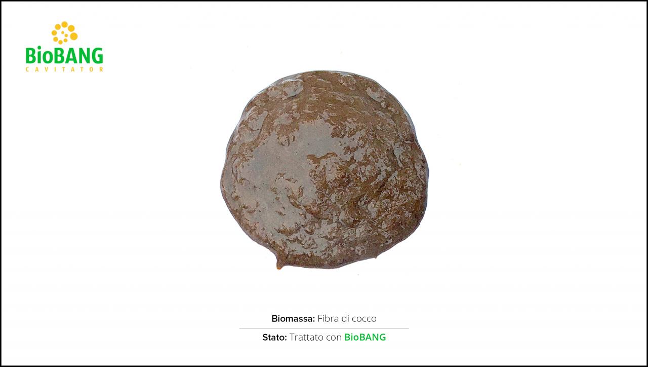 test-biomasse-cocco-2 test-biomasse-cocco-2