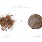 test-biomasse-cocco-3 test-biomasse-cocco-3