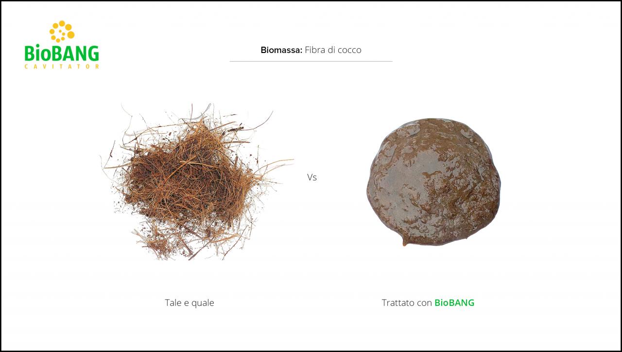 test-biomasse-cocco-3 test-biomasse-cocco-3