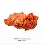 test-biomasse-pomodoro-1
