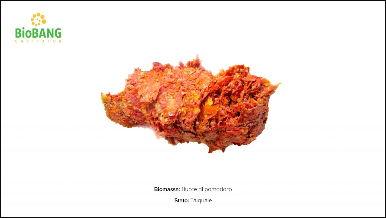test-biomasse-pomodoro-1