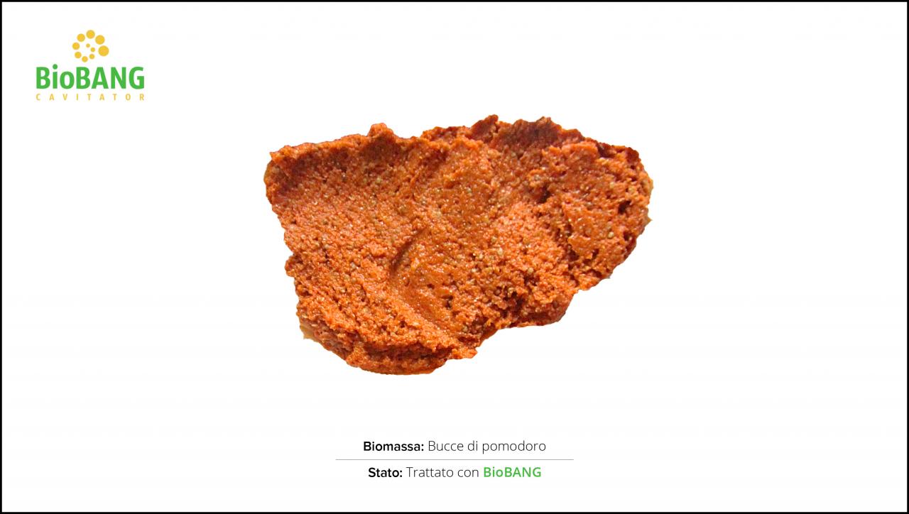 test-biomasse-pomodoro-2