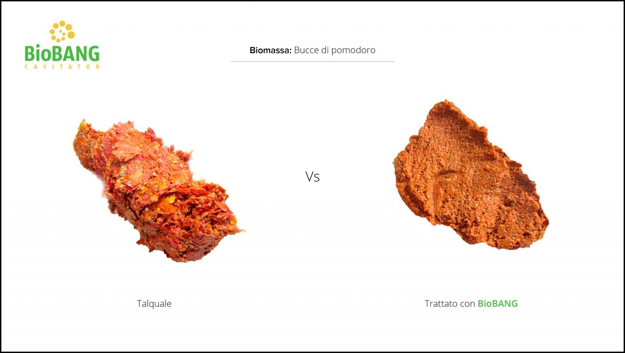 test-biomasse-pomodoro-3