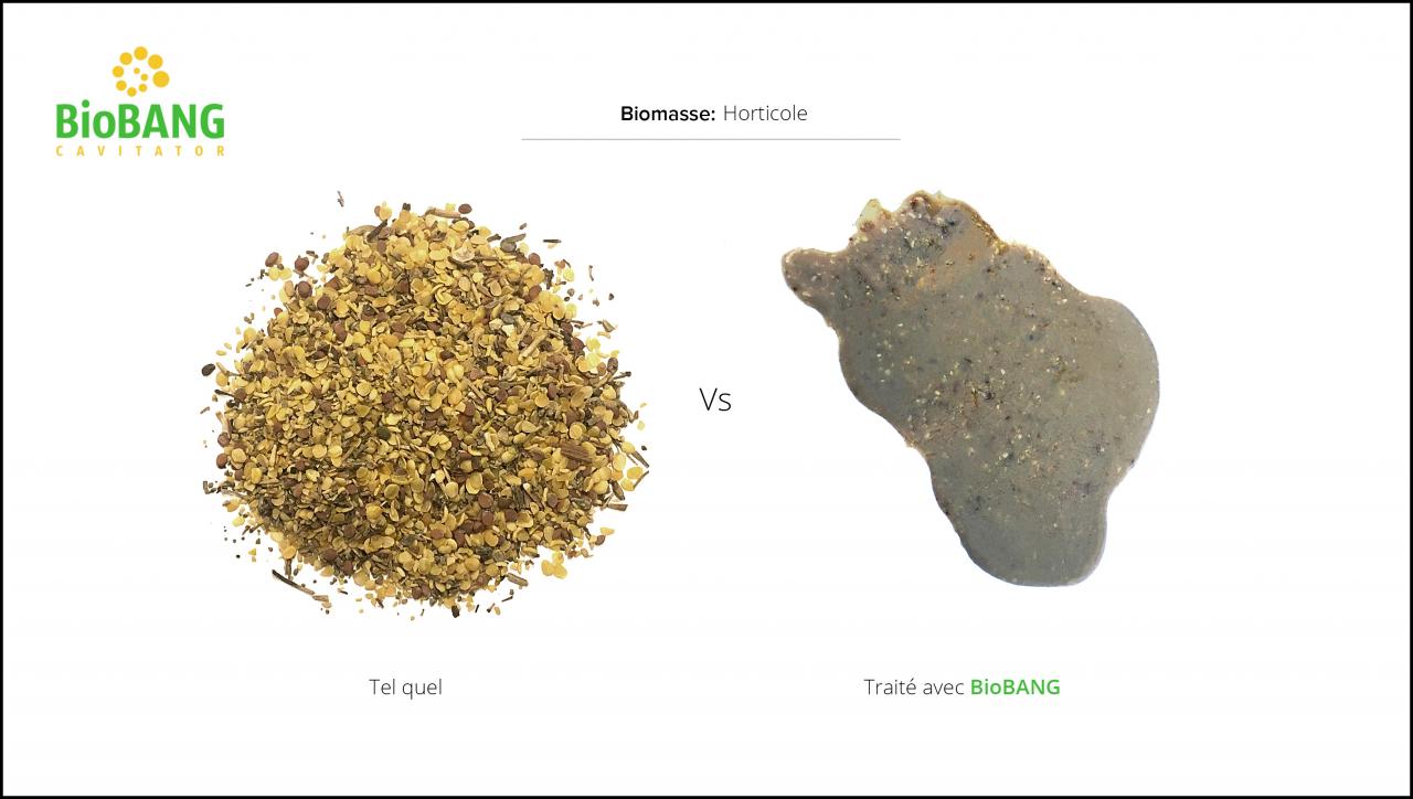 test-biomasses-graines-horticulture-3