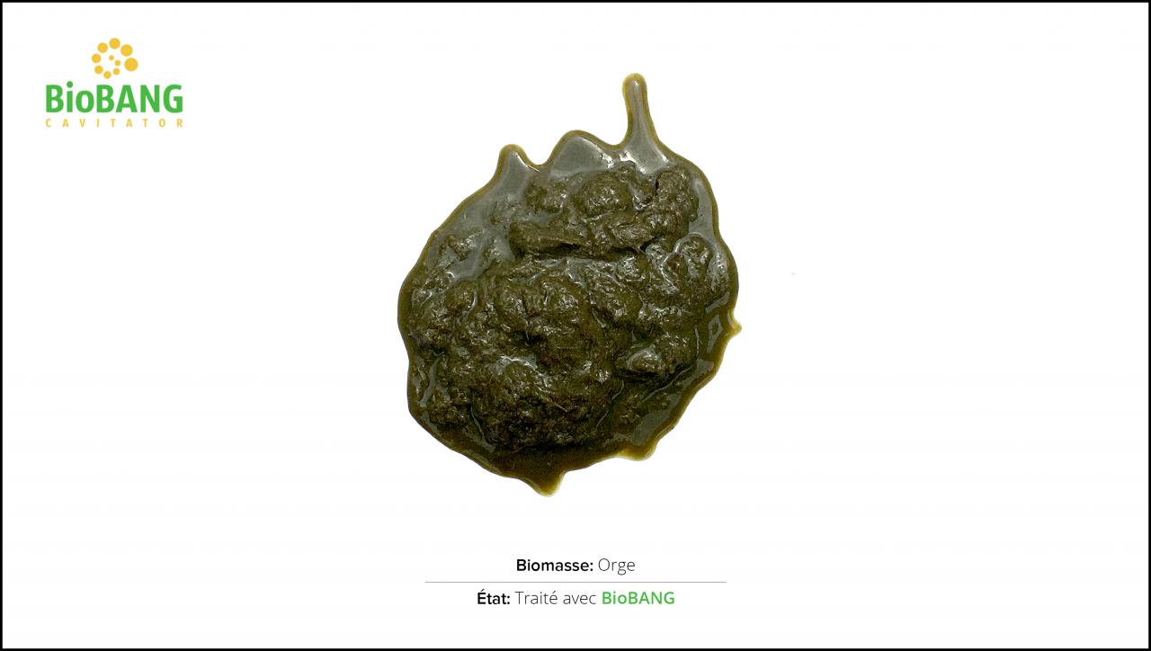 test-biomasses-orge-2 test-biomasses-orge-2