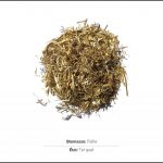 test-biomasses-paille-01