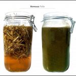 test-biomasses-paille-04