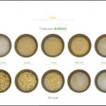 test-biomasses-paille-08