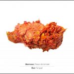 test-biomasses-peaux-tomate-1 test-biomasses-peaux-tomate-1
