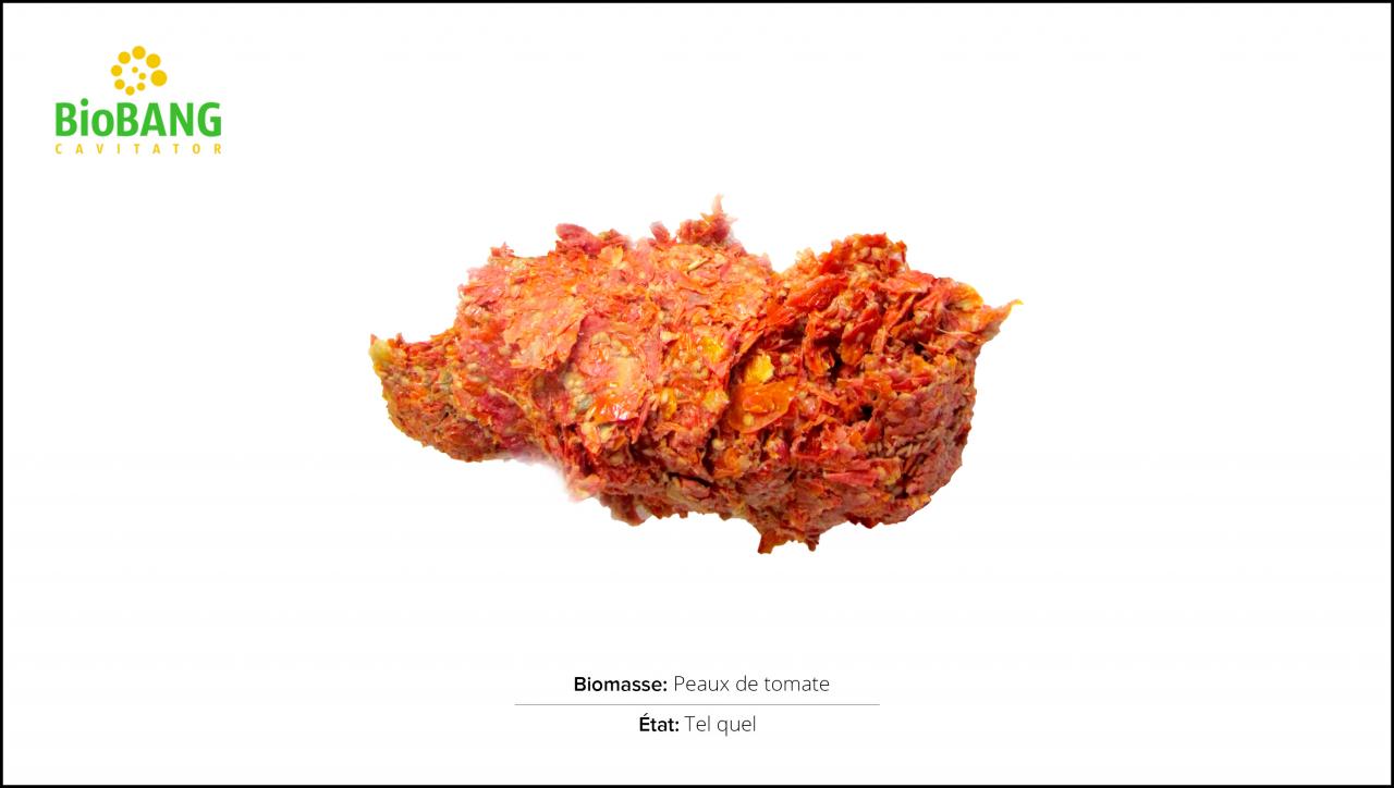 test-biomasses-peaux-tomate-1 test-biomasses-peaux-tomate-1